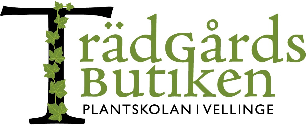 Trädgårdsbutiken Plantskolan i Vellinge