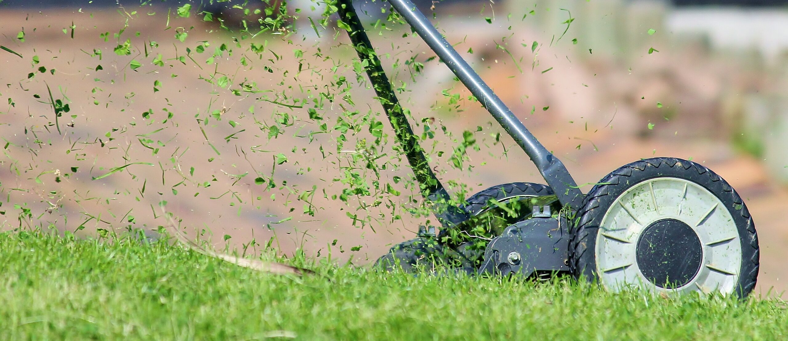 lawn-mower-938555